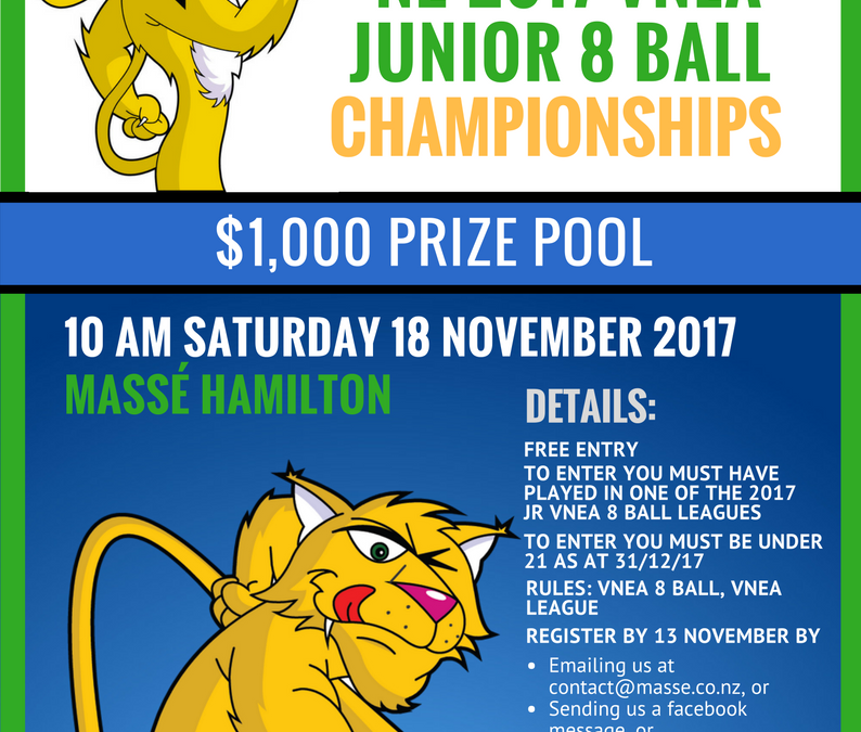 Jr VNEA 8 Ball Championships – Final