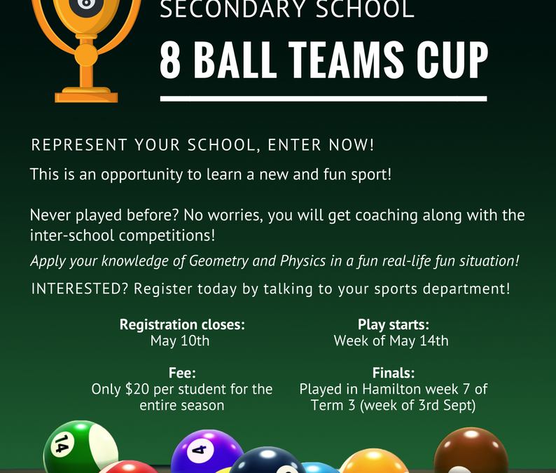 SS 8 Ball Teams Cup
